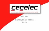 MEXICO CURRICULUM VITAE 2014 - seselec.mxseselec.mx/inicio/wp-content/uploads/2016/12/CV-Servicios... · SESELEC también construye las subestaciones eléctricas (elevadoras, reductoras,