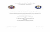 UNIVERSIDAD AUTONOMA DE NUEVO LEON - …eprints.uanl.mx/3274/1/1080256509.pdf · 2014-06-30 · 2.4 Requerimientos y Procedimientos para el Desarrollo Profesional ... El personal