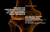 PROGRAMA - Asociación Española de Artroscopiaweb0.aeartroscopia.com/sites/default/files/documentos/OtrosCursos/... · de la patología de la rodilla, el título del curso lo dice