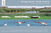aigues-mortes pañolot-aiguesmortes.com/wp-content/uploads/2015/01/E-2017-web.pdf · A caballo P. 18 P. 19 Kayak, ocios náuticos P. 19 Quad, Helicó, ... En barco, calesa, bicicleta,