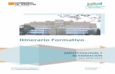 ITINERARIO FORMATIVO - Sector Zaragoza II :: …sectorzaragozados.salud.aragon.es/...Anestesia_2015-2016_8a134ac3.… · Libro del Residente ... anestesia (sin sensación) , tal como