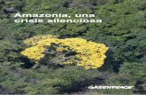 Amazonía, una crisis silenciosaarchivo-es.greenpeace.org/espana/Global/espana/2014/Report/bosque… · Reserva de la Biosfera: un área protegida establecida por el Programa Hombre
