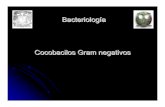 Cocobacilos Gram negativos - depa.fquim.unam.mxdepa.fquim.unam.mx/bacteriologia/20082/cocobacilosgramnegativos.pdf · Cocobacilos Gram negativos. Cocobacilos Gram negativos. ... *Se