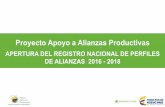 Proyecto Apoyo a Alianzas Productivas · • Plataforma probada en iniciativas rentables y sostenibles. ... a los interesados sobre los procedimientos para la legalización de ...