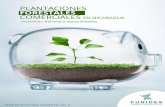 Plantaciones forestales comerciales en Nicaragua ... - …funides.com/.../Plantaciones_forestales_comerciales_en_Nicaragua.pdf · El estudio de Plantaciones forestales ... Oportunidades