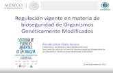 Regulación vigente en materia de bioseguridad de … · 2015-10-20 · 2005 Ley de Bioseguridad de Organismos Genéticamente Modificados 2006 Reglamento de la CIBIOGEM, adecuación