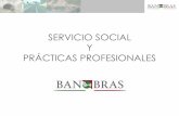 SERVICIO SOCIAL Y PRÁCTICAS PROFESIONALES · •Breve historia de Banobras •Organigrama •Servicio Social y Prácticas Profesionales ... Institución Educativa señale en la carta
