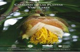 FLORA DE ANTIOQUIA CATÁLOGO DE LAS PLANTAS … · Listado de las plantas vasculares del Departamento de Antioquia 127. ... (Labiatae) en Colombia y Ecuador. Anales Jard. Bot. Madrid
