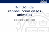 Función de reproducción en los animalesieslasencinas.org/wp-content/uploads/2018/04/16_present... · 2018-04-15 · Función de reproducción en los animales •Tipos de reproducción