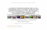 CARACTERIZACIÓN DE LOS PRODUCTOS …repository.udistrital.edu.co/bitstream/11349/4869/1/Sarmiento... · El Bosque Seco Tropical (bs-T) es uno de los ecosistemas más amenazado del