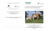 EL GANADO BOVINO CRIOLLO EN NAYARIT: UBICACIÓN Y … · mejoramiento genético, para bovinos productores de carne, en los países en desarrollo (Cartwright y Blackburn, 1989). En