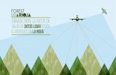 MODELOS DE COMBUSTIBLE - forest-lidarioja.info · •Identificación por tipologías básicas de combustible (arbolado, matorral, pastizal) Sistema de clasificación de combustibles