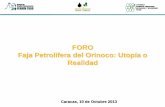 FORO Faja Petrolífera del Orinoco: Utopía o Realidad · 2015-11-14 · FORO Faja Petrolífera del Orinoco: Utopía o Realidad Caracas, 10 de Octubre 2013 CÁTEDRA KONRAD ADENAUER