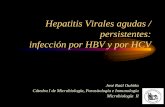 Hepatitis Virales agudas / persistentes: infección por … · por HBV y por HCV con el diagnóstico de cada uno de ellos. Analizar las medidas de profilaxis activa y pasiva para