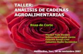 TALLER: ANÁLISIS DE CADENAS … · 2013-07-28 · Agentes y/o actores involucrados en la cadena ... Ixtapan de la Sal 5 Ha. 1.03% 9% 91% Fuente ... Flores de Chiltepec, Méx Flores