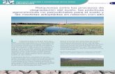 1 Relaciones entre los procesos de degradación del … Fact... · Ficha informativa n.º1 Agricultura sostenible y conservación de los suelos Introducción Relaciones entre los