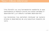 Tema 1. Cálculo diferencial - Inicio - Departamento de ...matematicas.unex.es/~ojedamc/doc/500219/tema_1_p.pdf · Tema 1. Cálculo diferencial Una función es una herramienta mediante