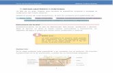 Curso de Dietética Aplicada Módulo 11 :Piel y Anexosnutricionydietetica.gan-bcn.com/admin/publics/upload/contenido/pdf... · Proteínas, principalmente colágeno, queratina y pigmentos
