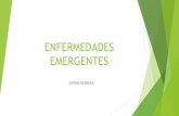 ENFERMEDADES EMERGENTES - codajic.org Emergente… · El diagnóstico a partir de una única muestra de suero en fase aguda ... Seguimiento de los casos de microcefalia Hay 6 casos