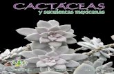Cactáceas y Suculentas Mexicanas - ecologia.unam.mx · Dr. Roberto Kiesling Instituto Darwinion, Argentina Editores Dr. Jordan Golubov UAM-Xochimilco Dra. María C. Mandujano Sánchez