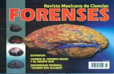 9 771870 364004 - Revista Forensesrevistaforenses.com/assets/revista_mexicana_de_ciencias_forenses... · diferentes hundimientos y salientes óseas; solía decir por ejemplo, que