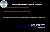 Universidad Nacional de Tumbes - banana-networks.orgbanana-networks.org/musalac/files/2015/09/6-M-Garrido-Bacteriosis.pdf · Miguel Garrido Rondoy Docente UNT “La Pudrición acuosa