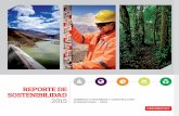 REPORTE DE SOSTENIBILIDAD 2015 - odebrecht.com · El análisis permitió identificar aquellos asuntos que son considerados determinantes en la gestión de sostenibilidad de OICI Perú
