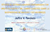 Joffre V. Tandazo - repositorio.educacionsuperior.gob.ecrepositorio.educacionsuperior.gob.ec/bitstream/28000/5028/6/Anexo 6... · Proyecto apoyado por el centro de emprendimiento
