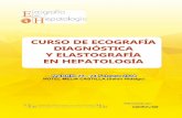 CURSO DE ECOGRAFÍA DIAGNÓSTICA Y …aeeh.es/wp-content/uploads/2018/01/Programa-Jornada-Presencial.pdf · ECOGRAFÍA EN HEPATOLOGÍA SESIÓN 3 ENFERMEDADES DEL SISTEMA BILIAR Y