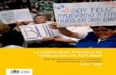 LA MODALIDAD FLEXIBLE DE NIVELACIÓN DE …epja.mineduc.cl/wp-content/uploads/sites/43/2016/04/CaracterizaciO... · muestra que la participación proporcional de mujeres en Educación