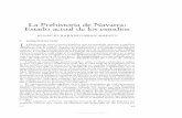 La Prehistoria de Navarra: Estado actual de los estudiossehn.org.es/wp-content/uploads/2017/08/10103.pdf · ritual, depósitos funerarios) ... el catálogo de monumentos megalíticos