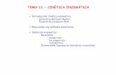 Perfil cinético de un enzima micaeliana Perfil cinético de …personal.us.es/csm/docs/teoria/TEMA 11. Alumnos .pdf · 2010-01-12 · Gases de guerra (Sarín), gas mostaza. ... -