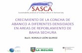 CRECIMIENTO DE LA CONCHA DE ABANICO A DIFERENTES ... · Determinar y comparar las tasas de crecimiento de la concha de abanico en cuatro áreas de repoblamiento de Bahía Sechura