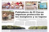 Pobladores de El Cacao - MOCAPH · Los manglares de esta zona del país, prestan una diversidad de bienes y servicios ambientales a las comu-nidades que los rodean. Reportaje La Tribuna