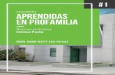 Buenas prácticas Clínica Pasto - profamilia.org.conica_Pasto.pdf · entre la prestación de los servicios de salud y el uso ... talento humano con enfásis en clima organizacional.
