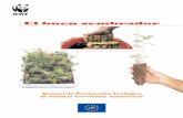 Manual de Producción Ecológica de Plantas Forestales ... web/el_buen... · La recolección de semillas es el primer paso a seguir en el proceso de restauración de nuestras masas
