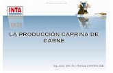 LA PRODUCCIÓN CAPRINA DE CARNE - produccion …produccion-animal.com.ar/.../produccion_caprina/92-Programa.pdf · FRANCIA, ETIOPIA Y NUEVA ZELANDA PRINCIPALES IMPOTADORES: EEUU Y
