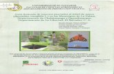Guía ilustrada de insectos asociados al árbol de nance ... · El orden Homoptera es un grupo heterogéneo de insectos exclusivamente terrestres, de tamaño y aspectos muy variables,