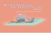La Habana, 2008 - medicablogs.diariomedico.com · Planes de cuidados de enfermería a pacientes con edema agudo del pulmón/ 511 Diagnóstico de enfermería/ 512 Bibliografía/ 519