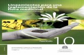 Lineamientos para una reglamentación de la flora medicinal · re hacer una exploración permanente de las consecuencias, po- ... ción sobre los beneficios de las plantas medicinales..