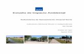 Estudio de Impacto Ambiental - aysa.com.ar · del Estudio de Impacto Ambiental del Proyecto de Expansión del Sistema de Saneamiento Cloacal en la Cuenca del río Reconquista, presentado