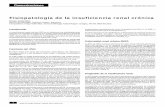 Fisiopatología de la insuficiencia renal crónicaclinicalevidence.pbworks.com/w/file/fetch/28241671/FISIOPATO... · Un aspecto importante a señalar es que la creatinina sérica