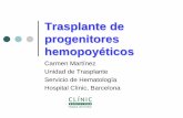 Trasplante de progenitores hemopoyéticos · Glóbulos rojos o hematíes. Glóbulos blancos o leucocitos. ... función medular en ratones irradiados tras infusión médula singénica