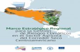 Marco Estratégico Regional - FAO Login · El término corredor seco 1, aunque apunta a un fenómeno climático, tiene una base ecológica y define a un grupo de ecosistemas que se