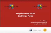 Programa Latin NCAP Gestión de Flotas · Renovación de Flota / Venta de los vehículos Algunas empresas realizan Programas de Entrenamiento para