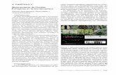 V. CAPÍTULO 2 Mejoramiento de Plantas Forrajeras …ecaths1.s3.amazonaws.com/geneticafacena/1676764665.Forrajeras.pdf · 390 Biotecnología y Mejoramiento Vegetal II simples modificados.