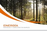 EnErgía - ceeiburgos.es · • Burgos es la Provincia de Castilla y León con mayor implan-tación eólica y una de las mayores de España. 4 Burgos. Energía ... libera materia