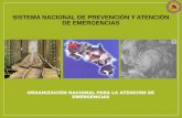 Organización Nacional para la Prevención y Atención …legacy.iica.int/.../Foro6-2014/ComisionNacionalEmergencias.pdf · ORGANIZACIÓN NACIONAL PARA LA ATENCIÓN DE EMERGENCIAS