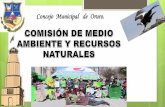 Concejo Municipal de Oruro.concejomunicipaloruro.com/imagenes/pdf/informes2017/IF2017_COMI… · EL MUNICIPIO DE ORURO DEVOLUCIÓN AL PROYECTISTA ... Actualización al Reglamento