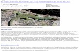 ENCICLOPEDIA VIRTUAL DE LOS VERTEBRADOS …digital.csic.es/bitstream/10261/108955/3/timlep_v1.pdf · La dieta de los lagartos ocelados es probablemente la mejor conocida de los reptiles